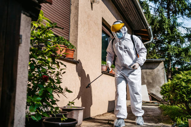Pest Prevention Services in Mount Pulaski, IL