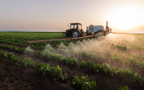 Best Pest Control for Homes  in Mount Pulaski, IL