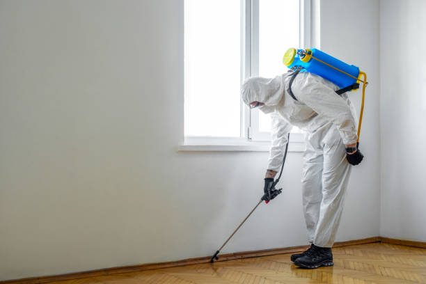 Best Mosquito Control Services  in Mount Pulaski, IL