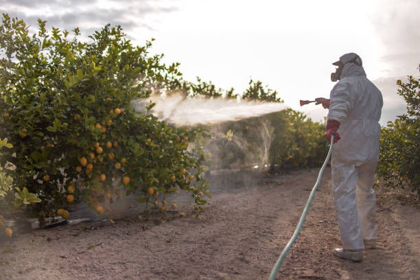 Professional Pest Control in Mount Pulaski, IL