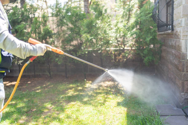 Best Affordable Pest Control Services  in Mount Pulaski, IL