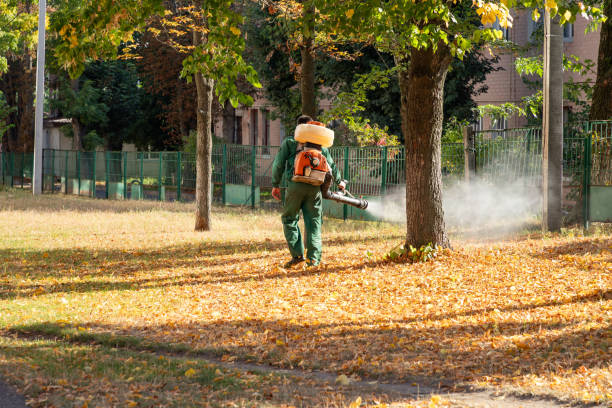 Best Rat Extermination Near Me  in Mount Pulaski, IL
